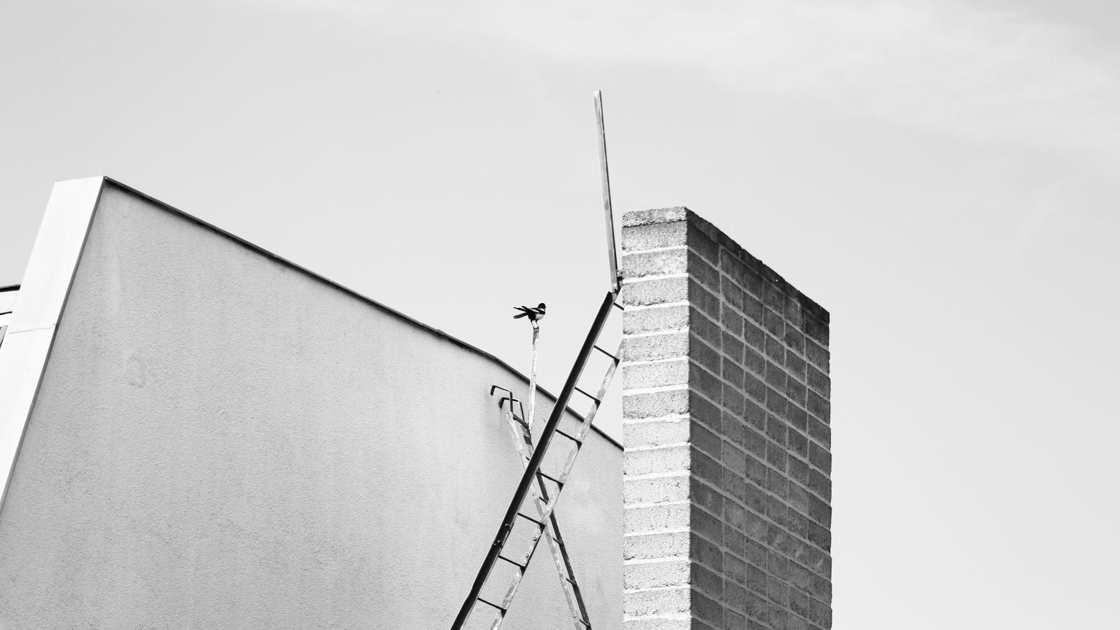 Dachsanierung Altbau im Rheinland